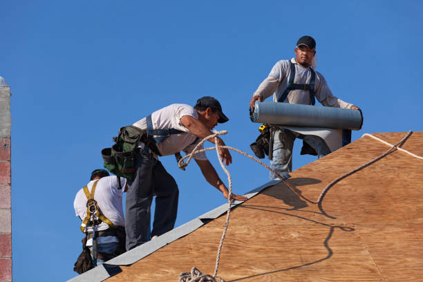 Best Emergency Roof Repair  in Ruskin, FL